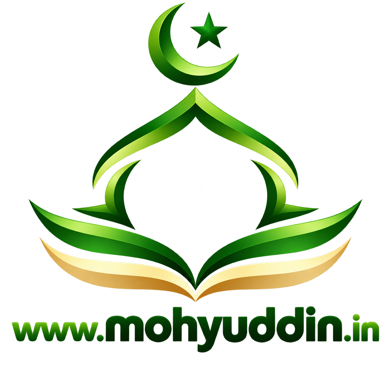 mohyuddin.in